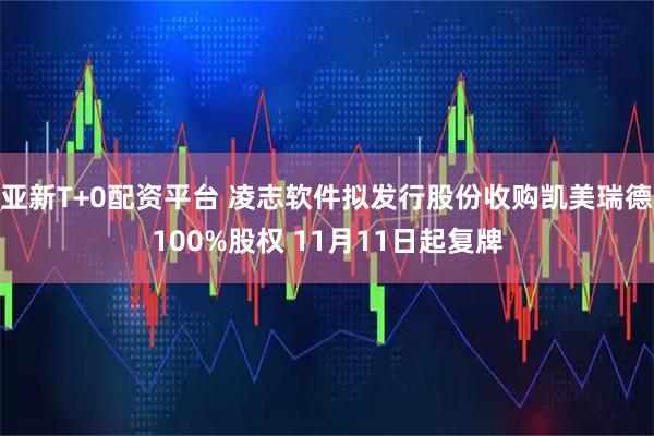 亚新T+0配资平台 凌志软件拟发行股份收购凯美瑞德100%股权 11月11日起复牌