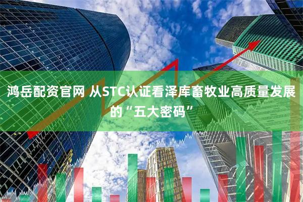 鸿岳配资官网 从STC认证看泽库畜牧业高质量发展的“五大密码”